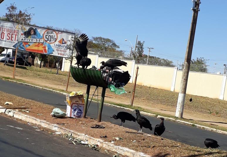 Foto: Assessoria / Vereadora Sebastiana Tavares